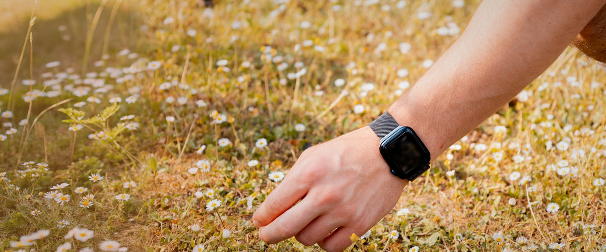 Schwarzes Milanaise-Armband an einer Apple Watch auf einer Sommerwiese