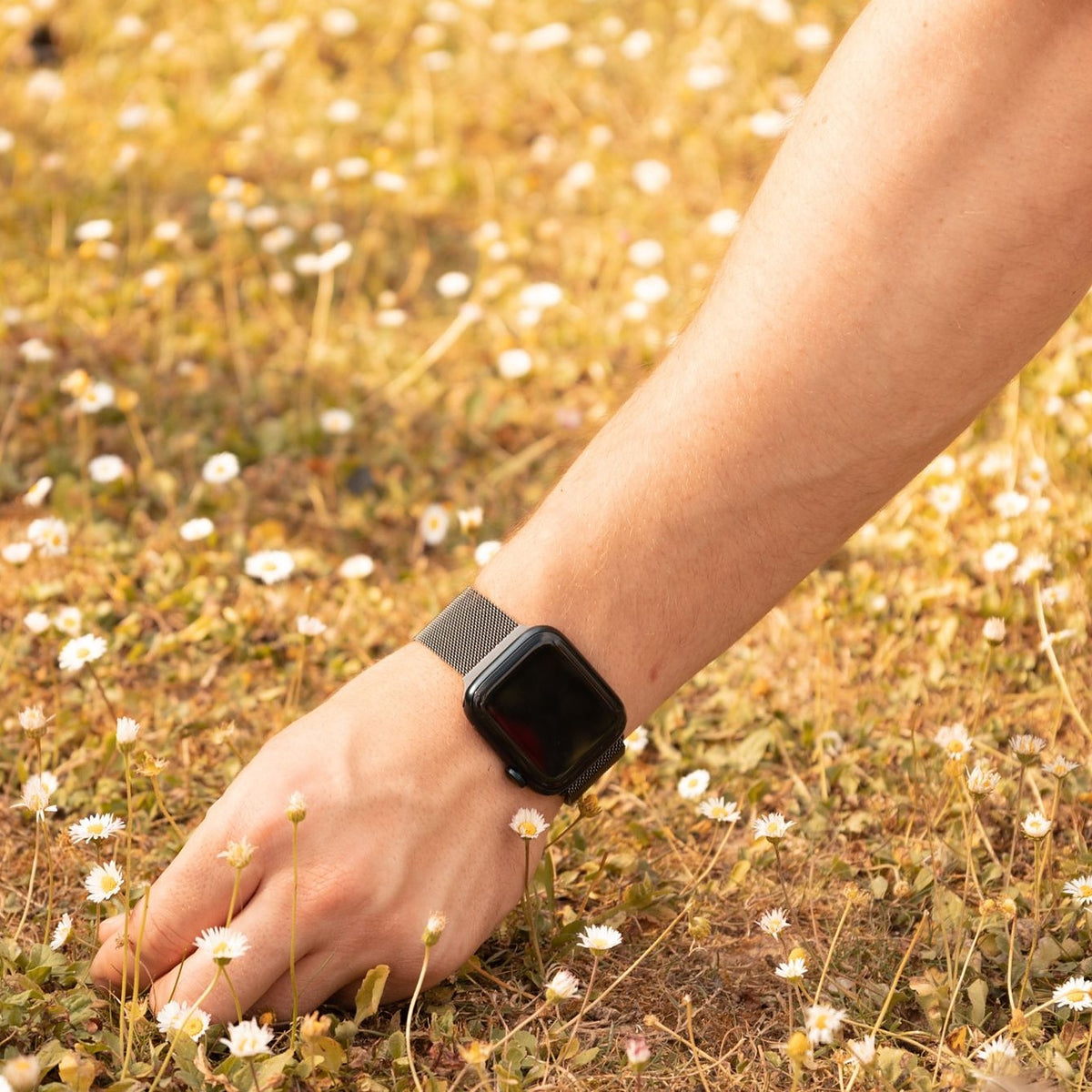 Milanaise Armband am Handgelenk, die Hand pflückt eine Blume auf der Wiese.
